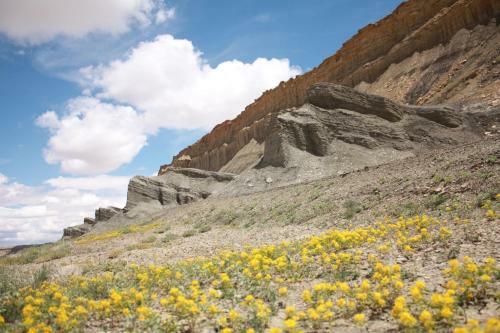 Hotel Affordable Inn Of Capitol Reef
