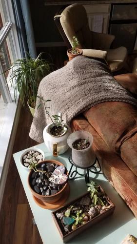 Apartamento Cozy Convenience, Private Home 5mins To Biltmore
