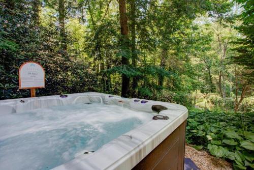 Mills Gap Lodge