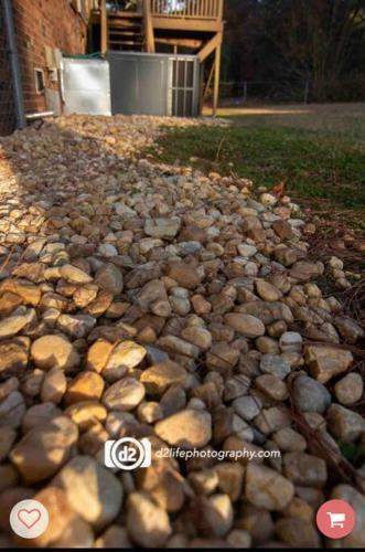 Pine Forest Zen Cottage - 10 Min To Fort Bragg