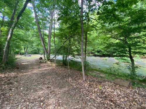 Spring Creek Farmhouse