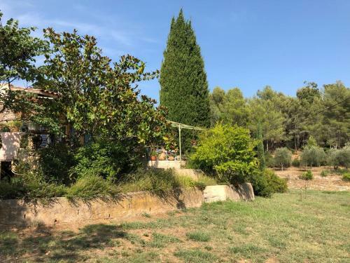Apartamento L'oliveraie