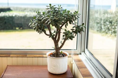 Maison Vue Oc�an Exceptionnelle