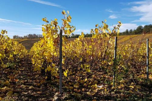 Apartamento Maison Au C?ur Du Vignoble Champenois