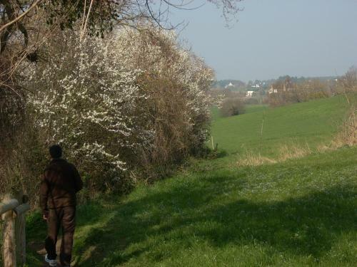 Bed & Breakfast Villa Bretonne