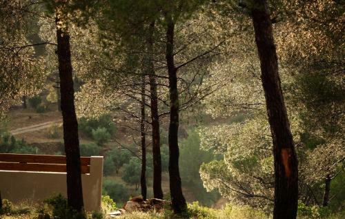 Hostal Simple Home