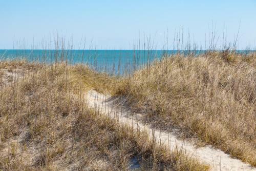 Anticipation 257
