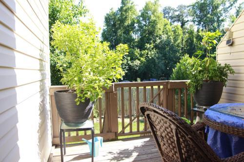 Modern, Stylish 3br Townhome In Raleigh! Townhouse