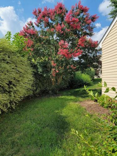 Modern, Stylish 3br Townhome In Raleigh! Townhouse