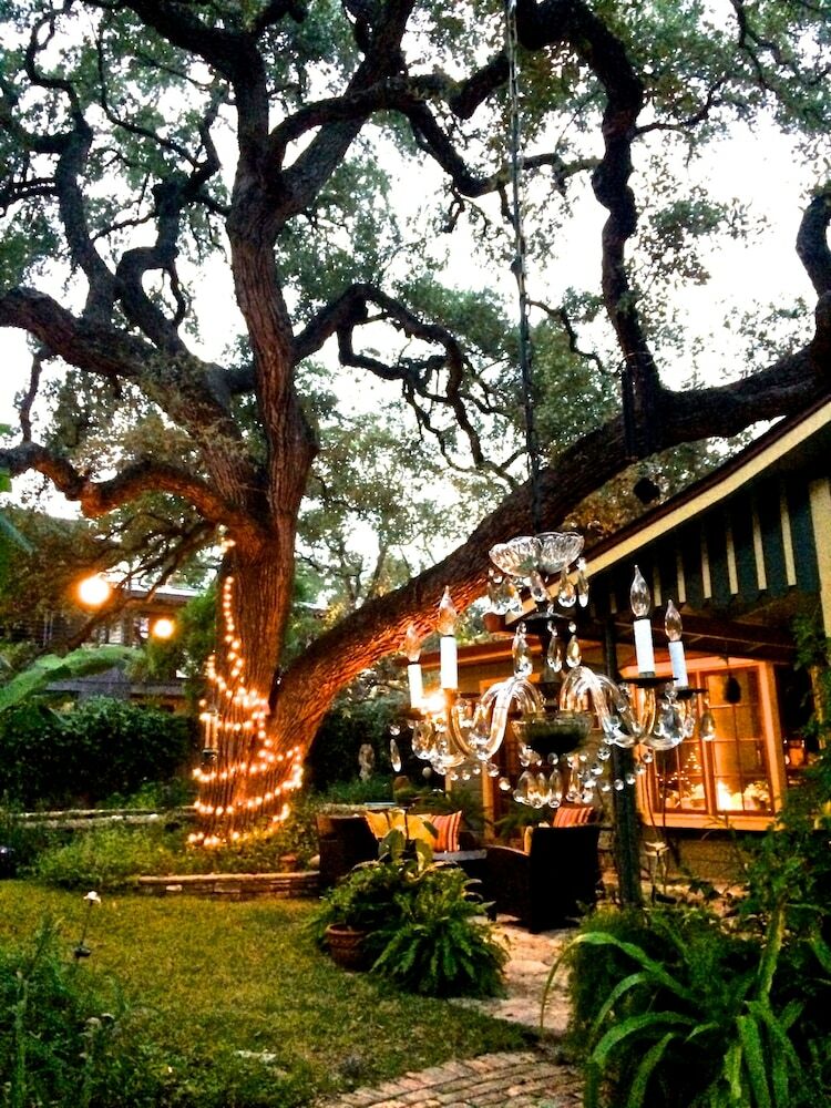 Bed & Breakfast Park Lane Guest House