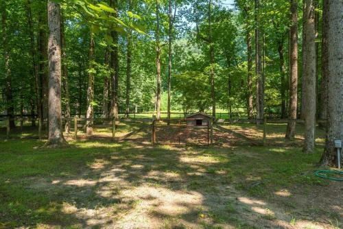 Waterfall Escape- Large Families & Guest House
