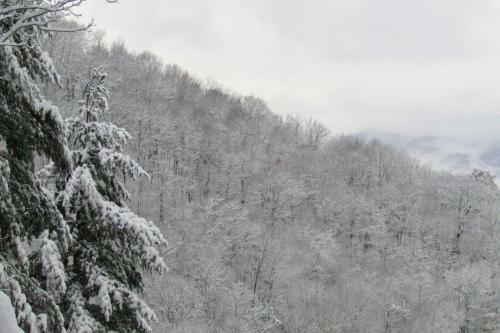 Apartamento Private Unit With Mtn Views Less Than 10 Mi To Hiking
