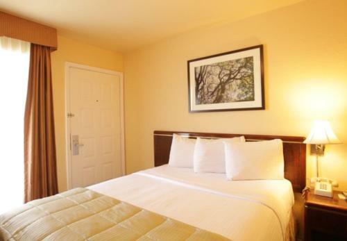 Hotel Habitat Suites