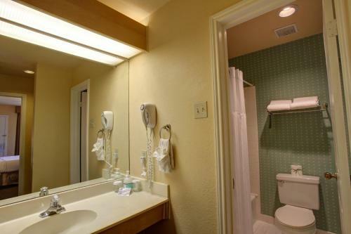 Hotel Habitat Suites