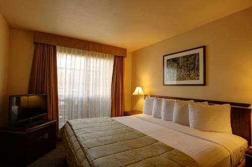 Hotel Habitat Suites