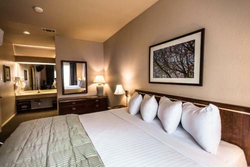 Hotel Habitat Suites
