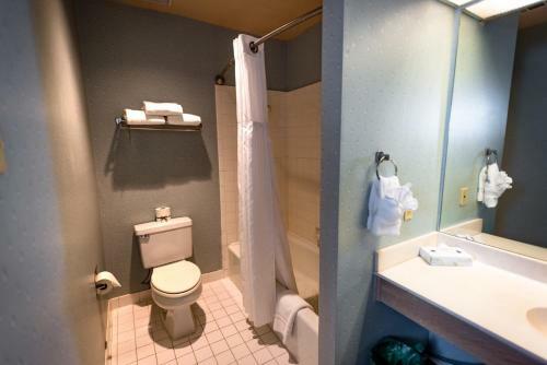 Hotel Habitat Suites