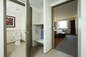 Hotel Holiday Inn Houston S - Nrg Area - Med Ctr