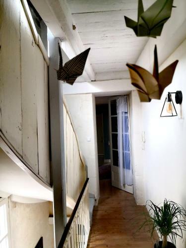 Hostal La Belle Amarre