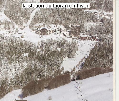 Apartamentos Vacances Au Pied Des Monts Du Cantal