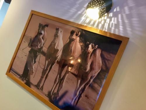 Hostal La Cordilli�re