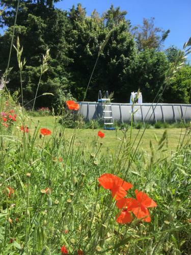 Agroturismo Loire Valley Llama Farm Stay