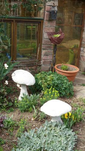 Bed & Breakfast Le Jardin Des Secrets