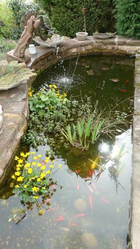 Bed & Breakfast Le Jardin Des Secrets