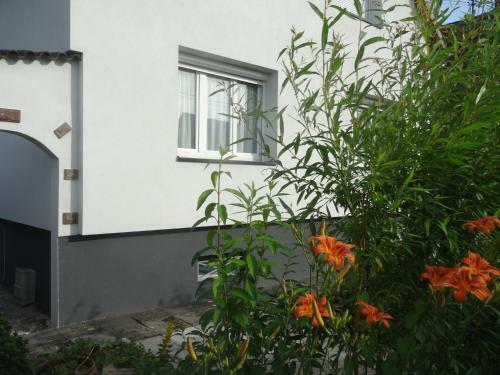 Apartamentos G�te Du H�ron