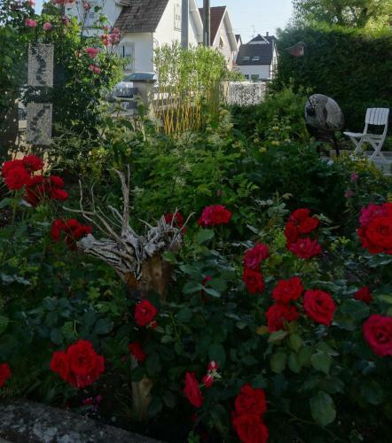 Apartamentos G�te Du H�ron