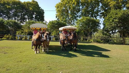 Les G�tes De Camargue
