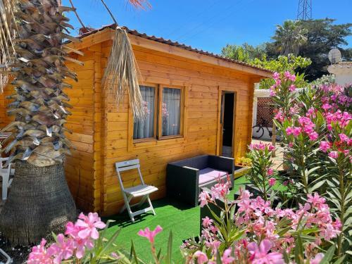 Chalet Belle Vue, Jacuzzi, Piscine, Terrasse, Climatis�