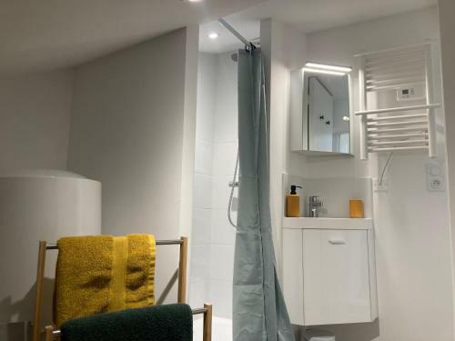 Apartamento Le Vernay, Studio de Charme, Enti�rement R�nov�.