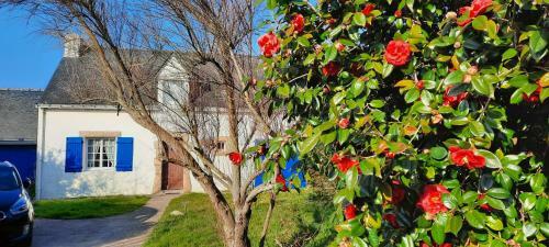 Le Croisic Broc�liande