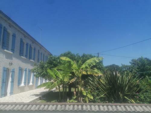 Bed & Breakfast La Belle �poque