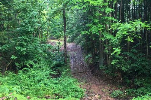 Serene Saxton Lodge 7 Mi To Lake Raystown!