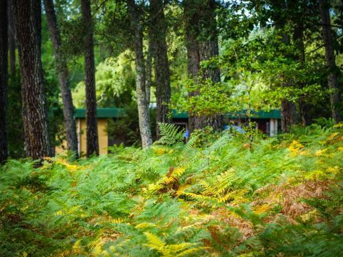 Cottage C?ur Des Landes