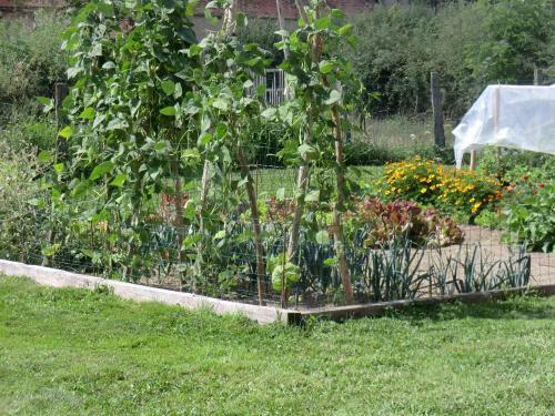 Bed & Breakfast Maison Vin D'hus