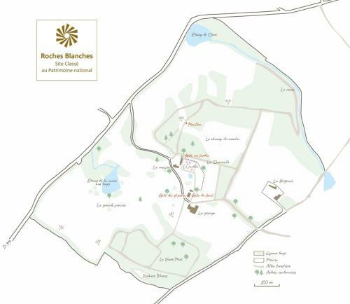 Domaine Des Roches Blanches - Site Class�