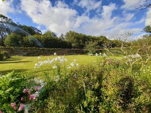 Domaine Des Roches Blanches - Site Class�