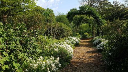 Domaine Des Roches Blanches - Site Class�