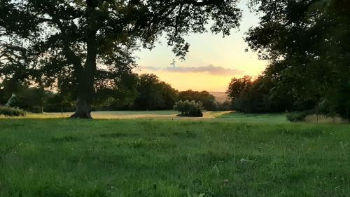 Domaine Des Roches Blanches - Site Class�