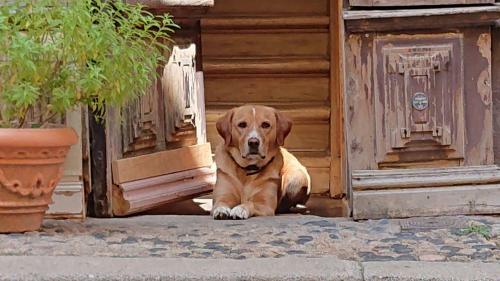 Hostal Epicerie Vieille Du Puy En Velay