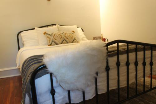 Accentuated Apartment In Manayunk