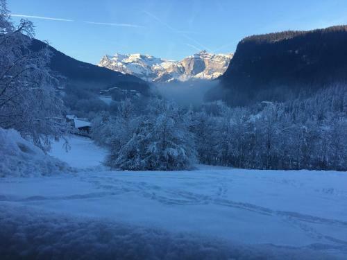 Apartamento Vall�e de Chamonix Au Pied Des Pistes