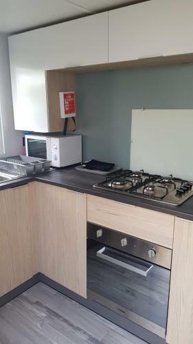 Mobile Home Climatis�