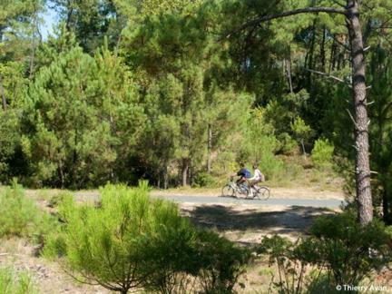 Mobile Home Climatis�