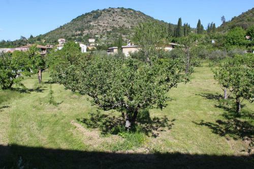Hotel Des Oliviers