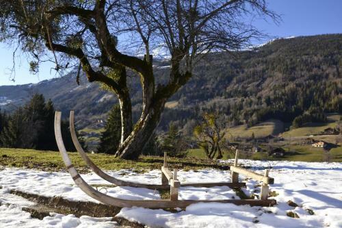 Les Picaillons - Le Chalet