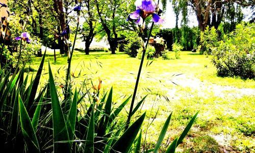 Bed & Breakfast Les Tr�sors de Malle Mialle